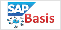 SAP Basis