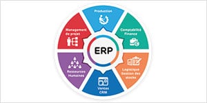 Enterprise Resource Planning Technologies
