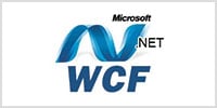 Microsoft .Net WCF
